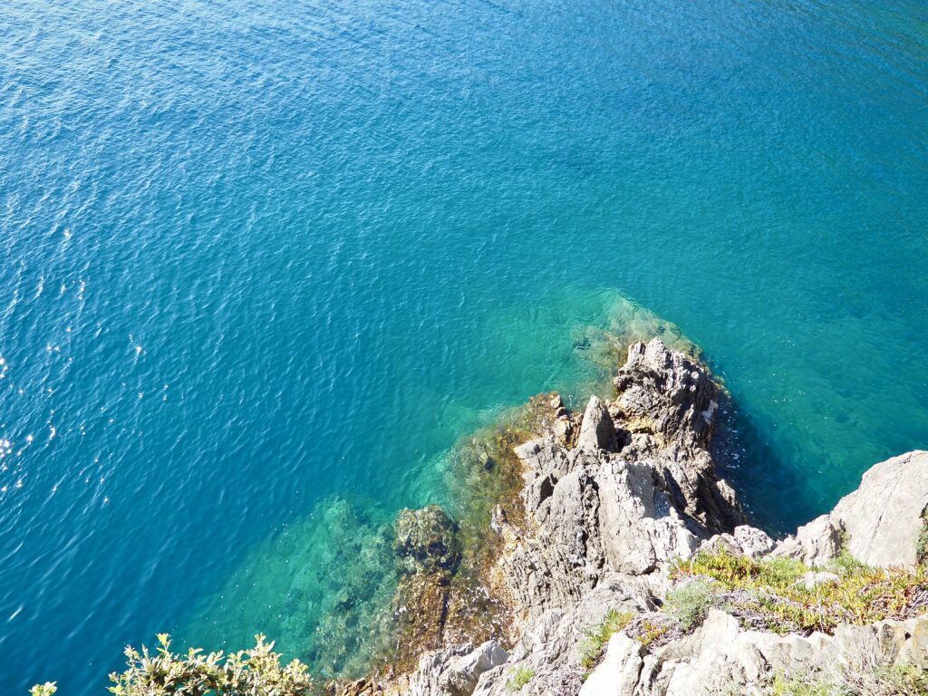 Cinque Terre Photo