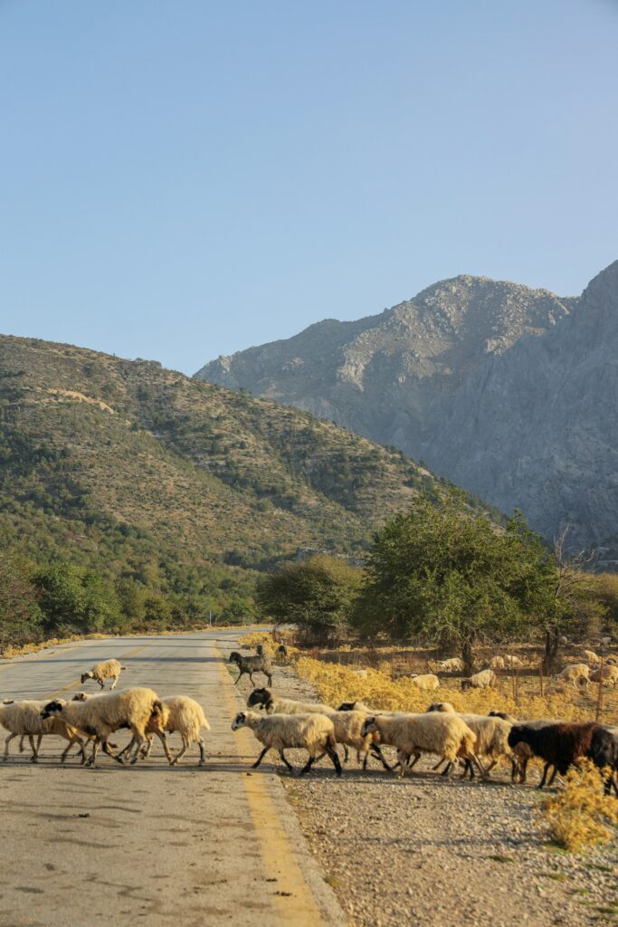 Samara Gorge Greece