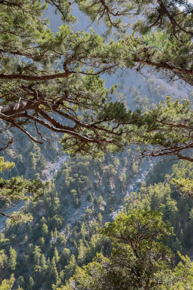 Samara Gorge Greece